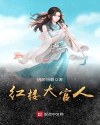 紅樓大官人