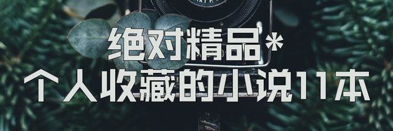 絕對精品*個人收藏的小說11本