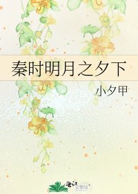 秦时明月之夕下